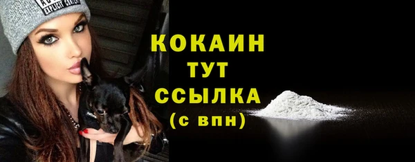 Альфа ПВП Бугульма