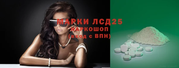 гидропоника Бородино