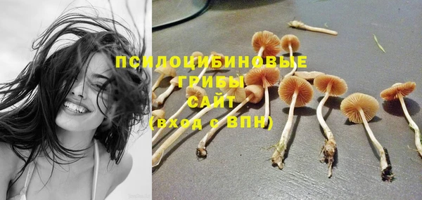 Альфа ПВП Бугульма