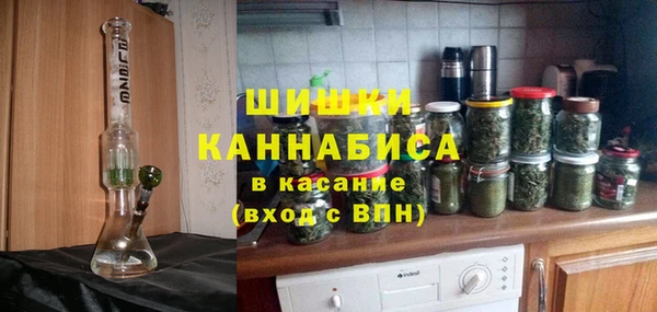 гидропоника Бородино